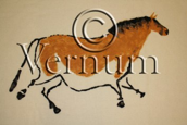 Matrona-collection, The Bull, cave painting from France, Stone Age